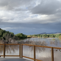 Birding Hotspots in Southern Arizona