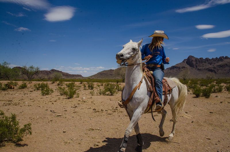 White Stallion Ranch