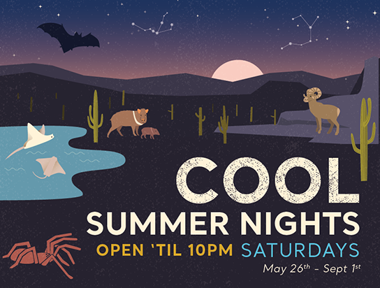 Cool Summer Nights at Arizona-Sonora Desert Museum