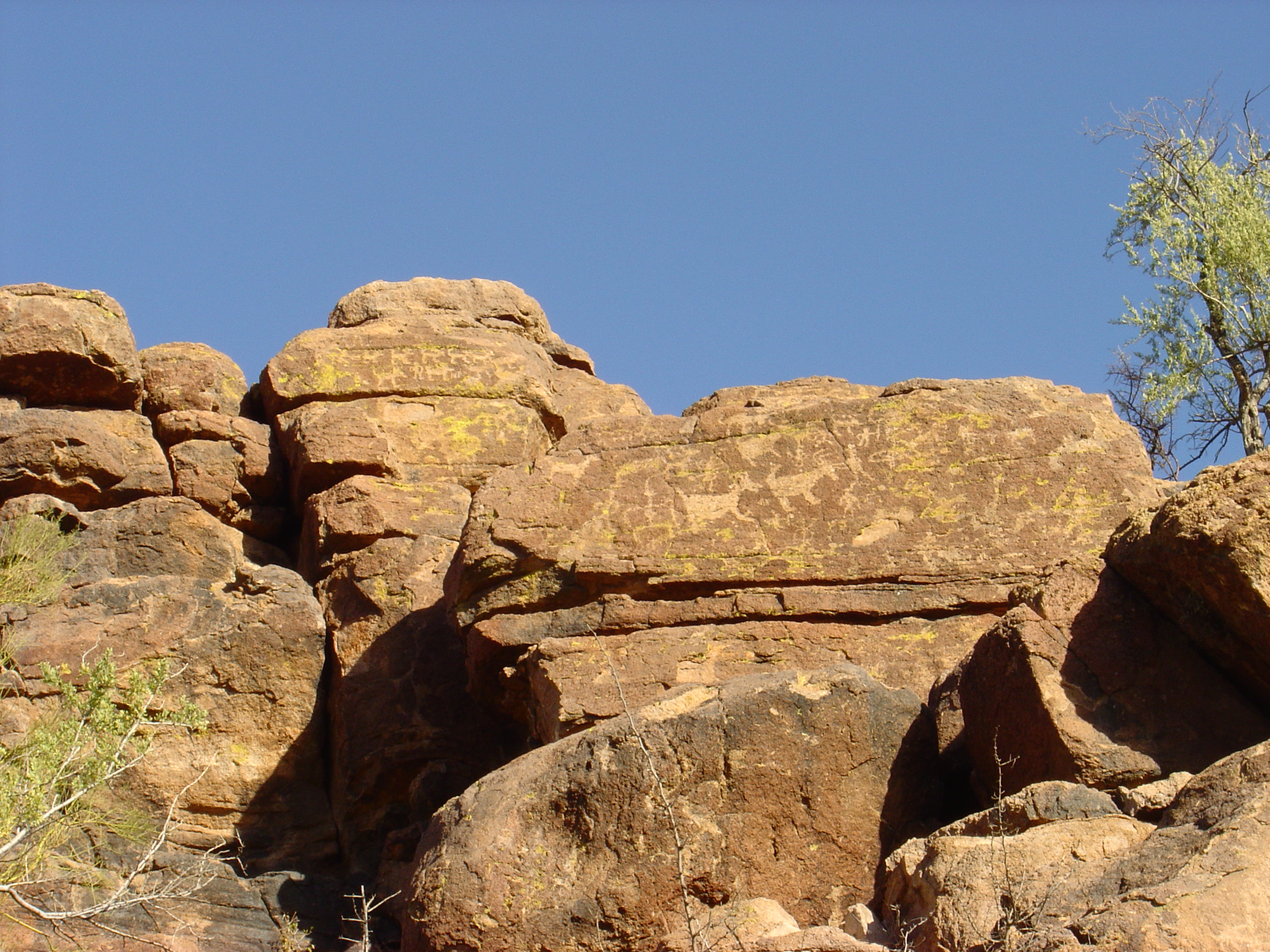 petroglyphs in park