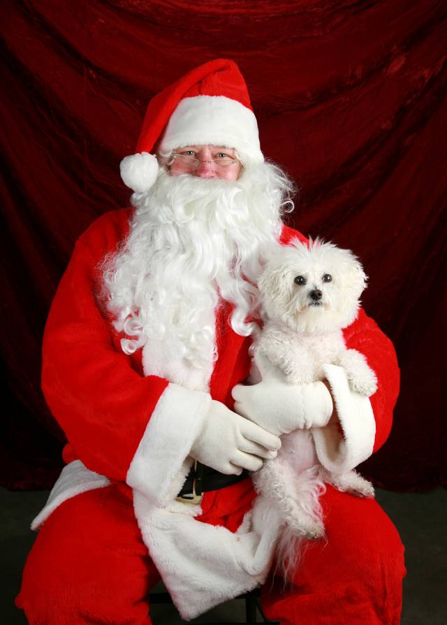 Pet Photos with Santa