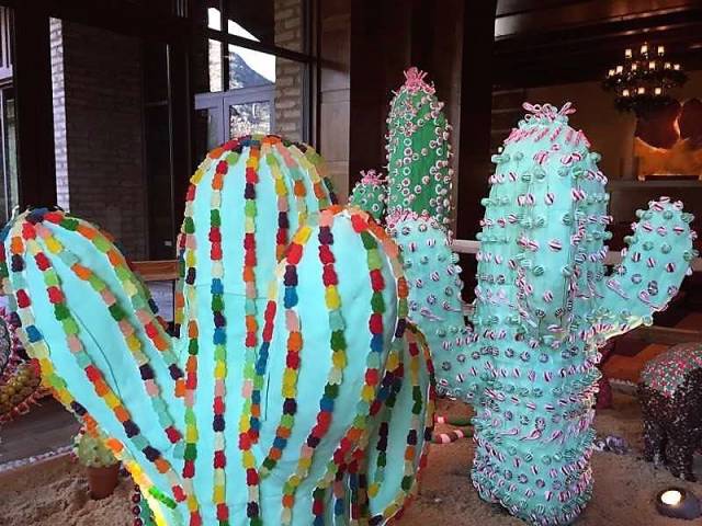 Cactus Candy Garden
