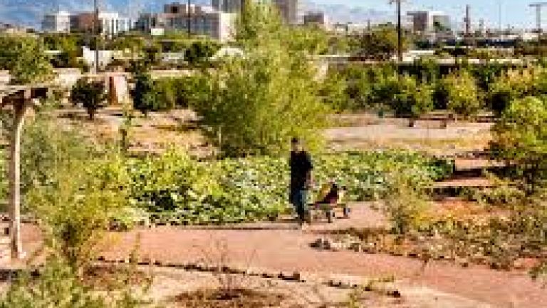 Mission Garden