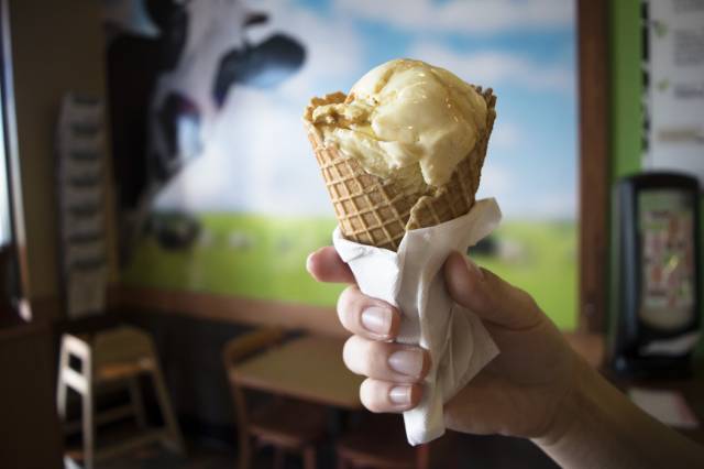 The Screamery - Ice Cream for all!