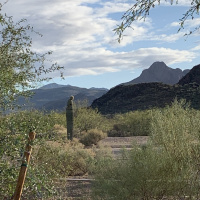 What’s Open in Marana, AZ?