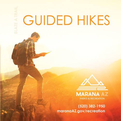 Guided Hike of the Tortolitas