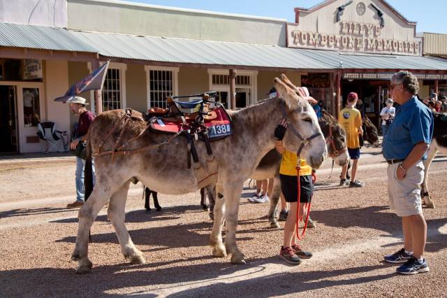 Schieffelin Days 2021 at Tombstone