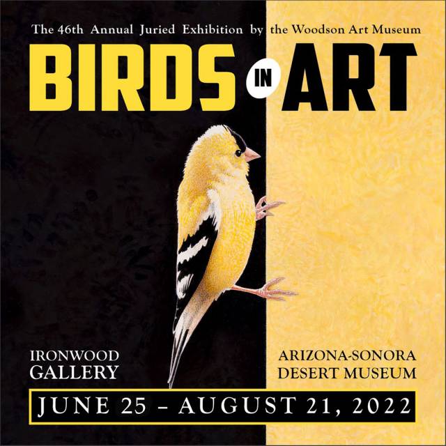 Birds in Art Exhibition at the Arizona-Sonora Desert Museum