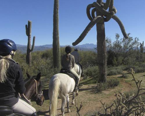 Guided Horseback Rides