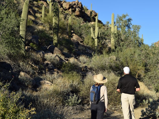 Town of Marana Short-Term/Vacation home regulations
